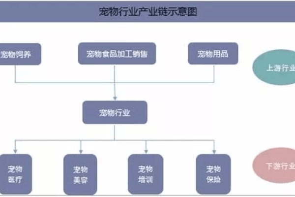 宠物发展行业的现状 宠物行业的发展状况