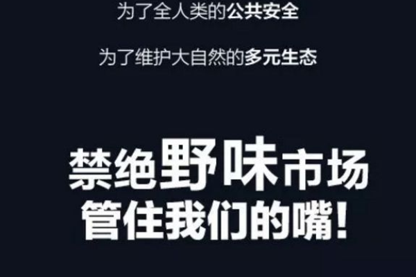 内托：与迪萨西庆祝进球因为他传得很漂亮；我们想保持势头