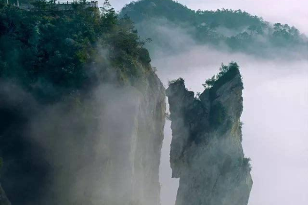 乐清宠物沐浴露，宠物沐浴露批发厂家