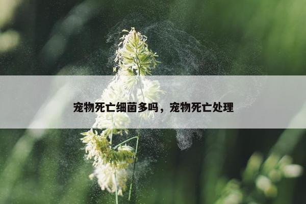 宠物死亡细菌多吗，宠物死亡处理