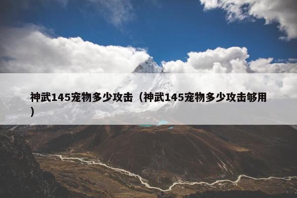 神武145宠物多少攻击（神武145宠物多少攻击够用）