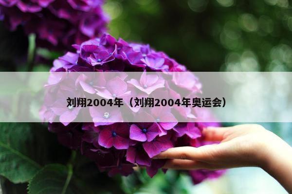 刘翔2004年（刘翔2004年奥运会）