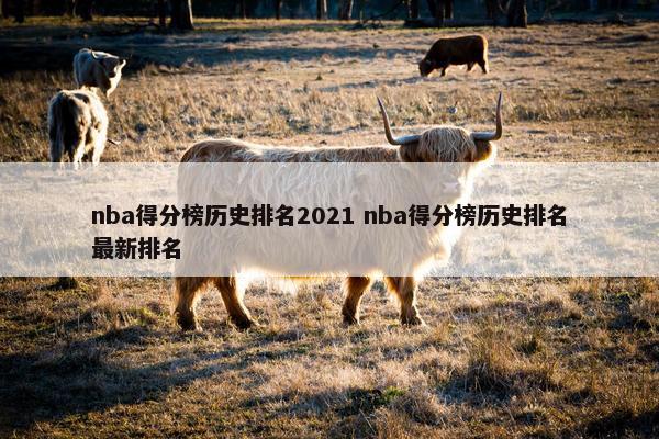 nba得分榜历史排名2021 nba得分榜历史排名最新排名