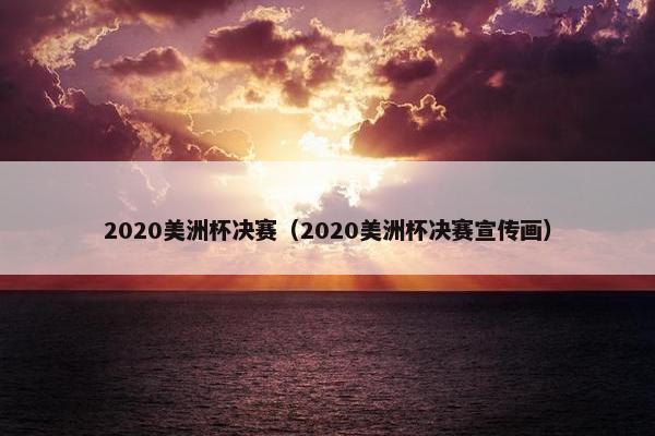 2020美洲杯决赛（2020美洲杯决赛宣传画）