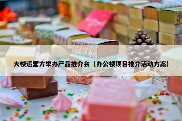 大楼运营方举办产品推介会（办公楼项目推介活动方案）