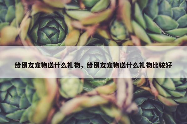 给朋友宠物送什么礼物，给朋友宠物送什么礼物比较好