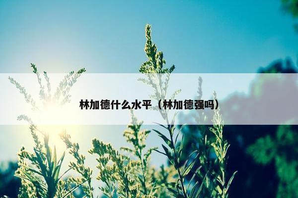 林加德什么水平（林加德强吗）