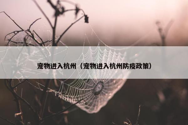 宠物进入杭州（宠物进入杭州防疫政策）