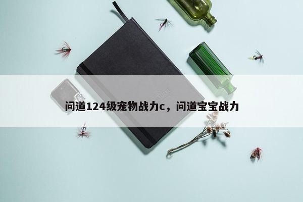 问道124级宠物战力c，问道宝宝战力