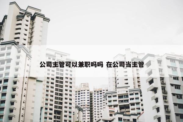 公司主管可以兼职吗吗 在公司当主管