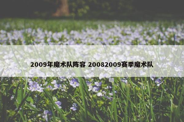 2009年魔术队阵容 20082009赛季魔术队