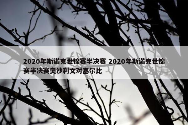 2020年斯诺克世锦赛半决赛 2020年斯诺克世锦赛半决赛奥沙利文对塞尔比