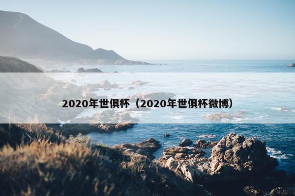 2020年世俱杯（2020年世俱杯微博）