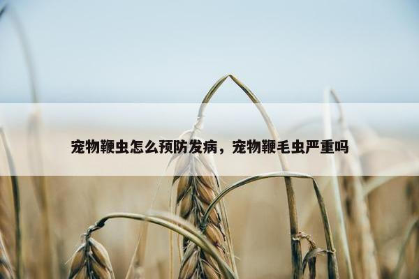 宠物鞭虫怎么预防发病，宠物鞭毛虫严重吗