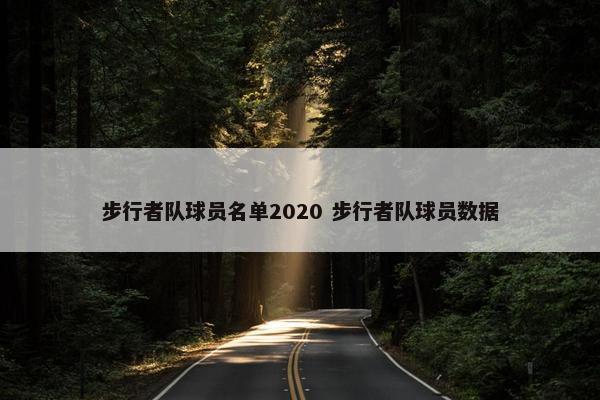 步行者队球员名单2020 步行者队球员数据