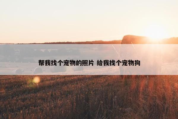 帮我找个宠物的照片 给我找个宠物狗