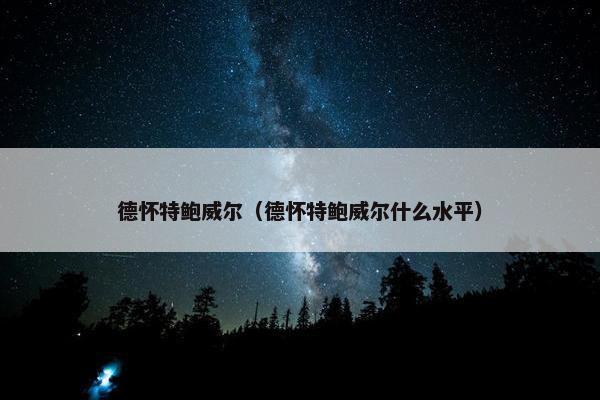 德怀特鲍威尔（德怀特鲍威尔什么水平）