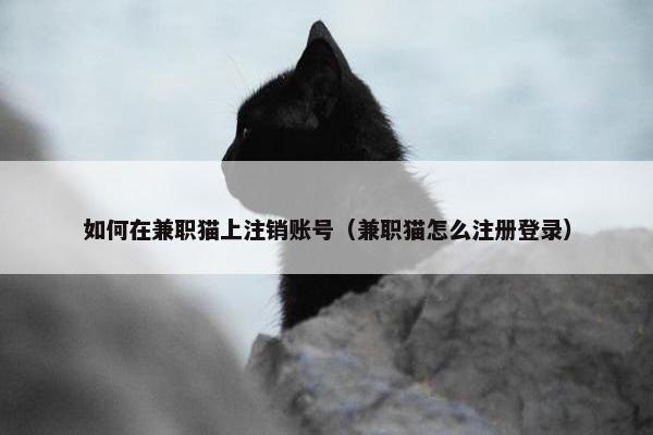 如何在兼职猫上注销账号（兼职猫怎么注册登录）