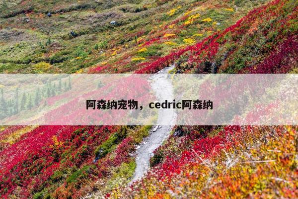 阿森纳宠物，cedric阿森纳