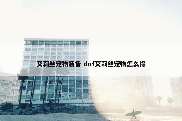 艾莉丝宠物装备 dnf艾莉丝宠物怎么得