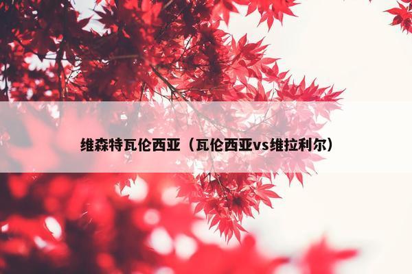 维森特瓦伦西亚（瓦伦西亚vs维拉利尔）