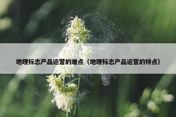 地理标志产品运营的难点（地理标志产品运营的特点）