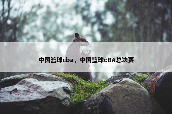 中国篮球cba，中国篮球cBA总决赛