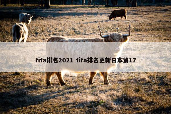 fifa排名2021 fifa排名更新日本第17