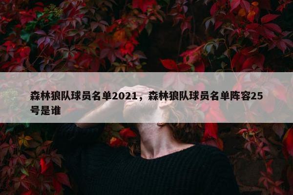 森林狼队球员名单2021，森林狼队球员名单阵容25号是谁