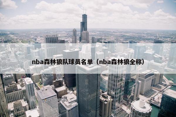 nba森林狼队球员名单（nba森林狼全称）