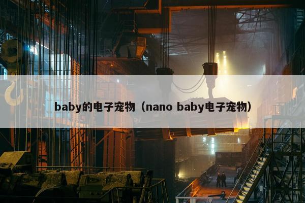 baby的电子宠物（nano baby电子宠物）