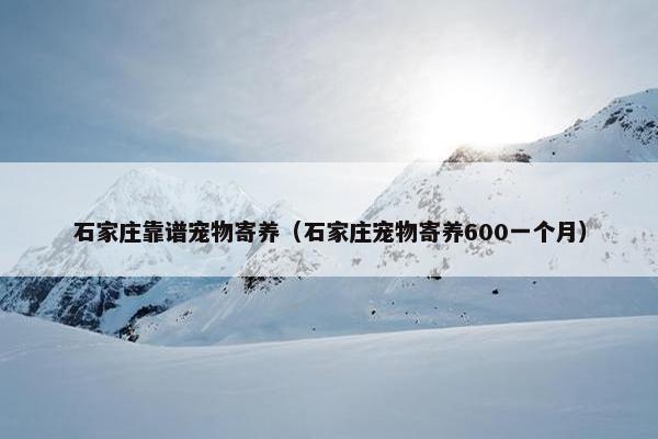 石家庄靠谱宠物寄养（石家庄宠物寄养600一个月）