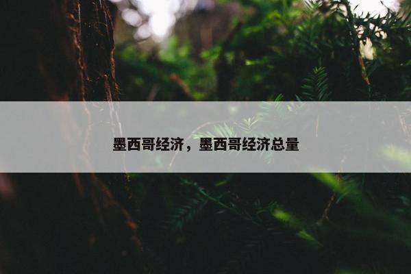 墨西哥经济，墨西哥经济总量