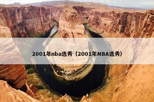 2001年nba选秀（2001年NBA选秀）