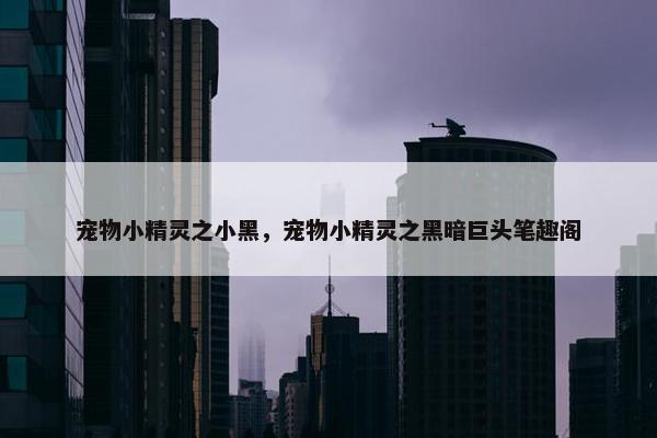 宠物小精灵之小黑，宠物小精灵之黑暗巨头笔趣阁