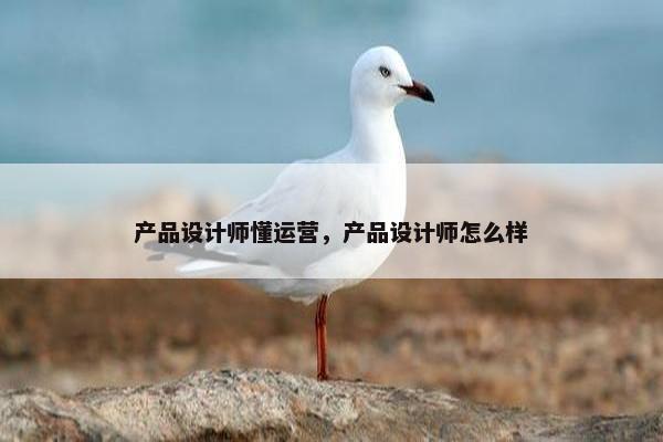 产品设计师懂运营，产品设计师怎么样