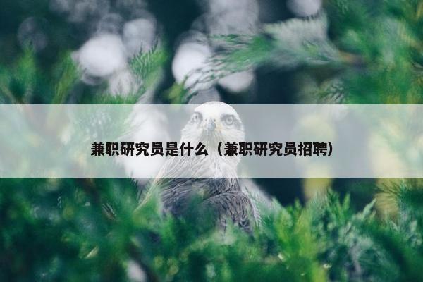 兼职研究员是什么（兼职研究员招聘）