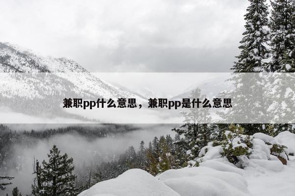 兼职pp什么意思，兼职pp是什么意思