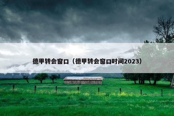 德甲转会窗口（德甲转会窗口时间2023）