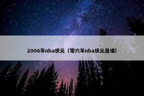 2006年nba状元（零六年nba状元是谁）