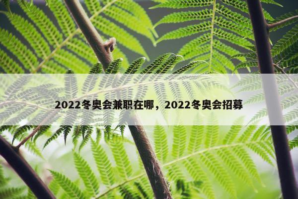 2022冬奥会兼职在哪，2022冬奥会招募