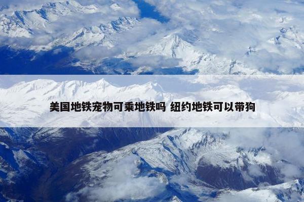 美国地铁宠物可乘地铁吗 纽约地铁可以带狗