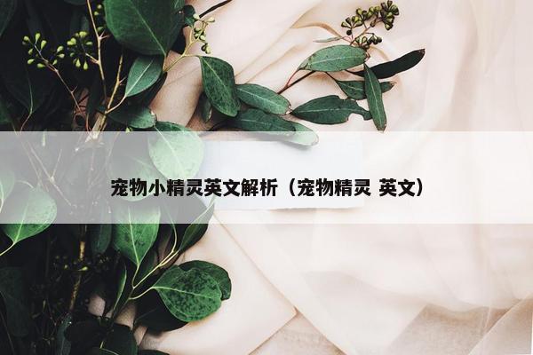 宠物小精灵英文解析（宠物精灵 英文）