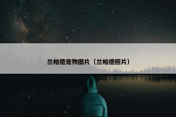 兰帕德宠物图片（兰帕德照片）