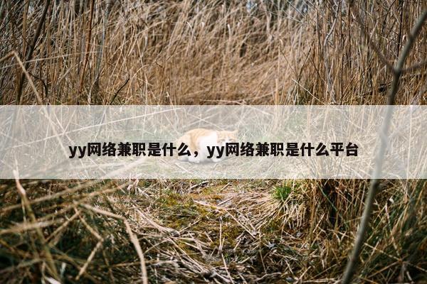 yy网络兼职是什么，yy网络兼职是什么平台