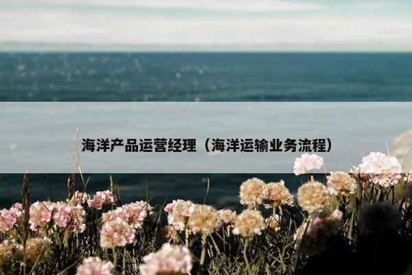 海洋产品运营经理（海洋运输业务流程）