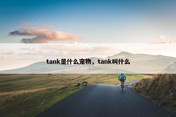 tank是什么宠物，tank叫什么