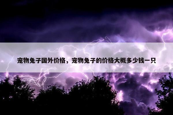 宠物兔子国外价格，宠物兔子的价格大概多少钱一只