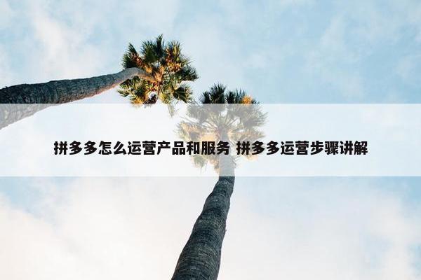 拼多多怎么运营产品和服务 拼多多运营步骤讲解