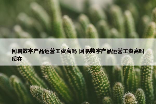 网易数字产品运营工资高吗 网易数字产品运营工资高吗现在